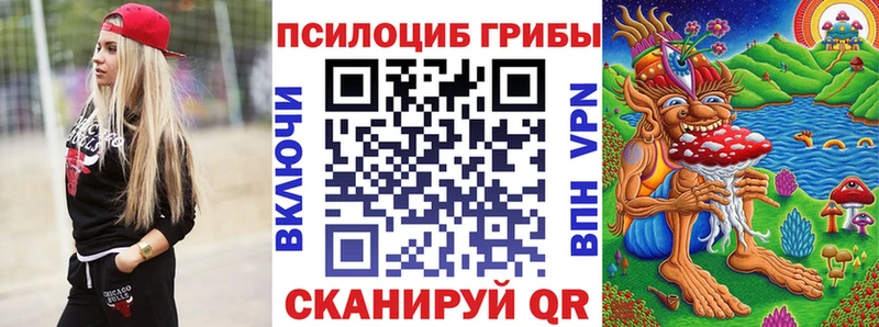 Псилоцибиновые грибы Magic Shrooms  mega ССЫЛКА  Судогда 