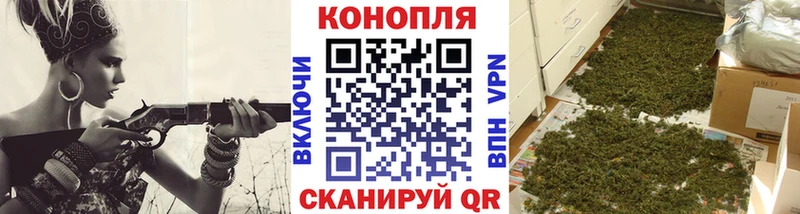 Канабис сатива  купить  сайты  Судогда 